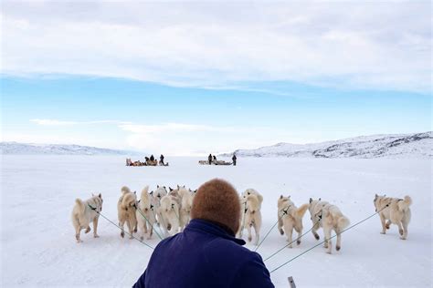 Dog Sledding Expedition Kangerlussuaq To Sisimiut West Greenland