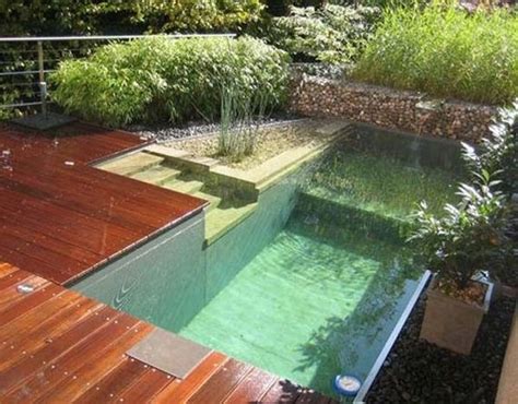 Amazing Backyard Natural Pools Diycraftsguru
