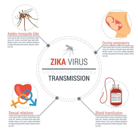 Virus De Zika Infographic Transmisión Ilustración Del Vector