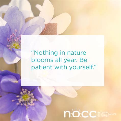 Nothing In Nature Blooms All Year Be Patient With Yourself