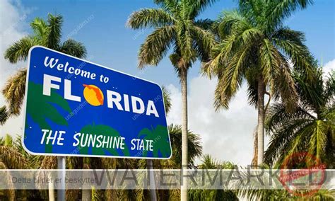 Ferie I The Sunshine State Florida Usaguidenno
