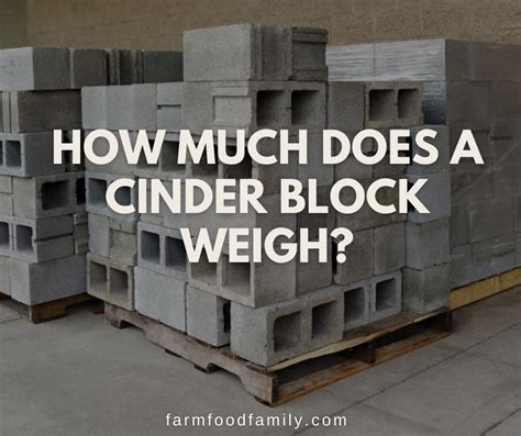 How Much Does A Cinder Block Weigh The Answer Might Surprise You