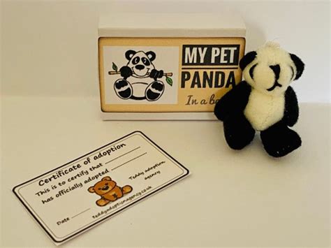 My Pet Panda Bear In A Box Matchbox Mini Novelty Silly T Etsy