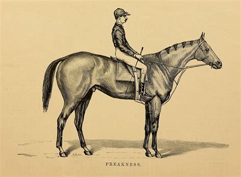 Preakness William Lakeland Elected To Hall Of Fame By Historic Review