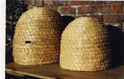 Bee Skeps Yellow Cottage Bee Skep Birds And The Bees Bee Mine Bee