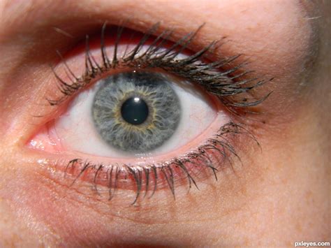 Nothing and no one is perfect. My Eye picture, by kimlandsiedel for: eye closeup 2 ...
