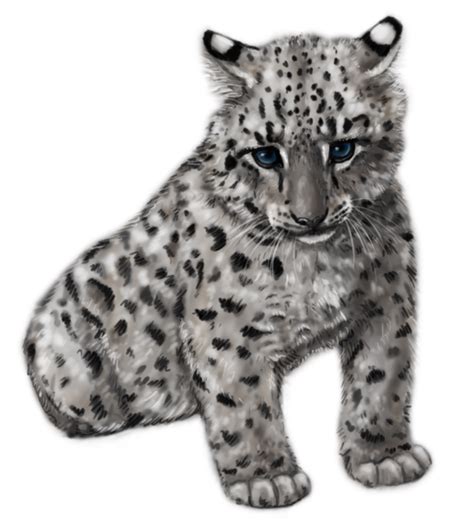 Snow Leopard Cub By Silvercrossfox On Deviantart