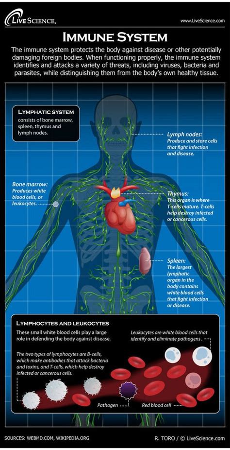 The immune system is made up of a complex and vital network of cells and organs that protect the body from infection. Home - Pathophysiology - LibGuides at COM Library