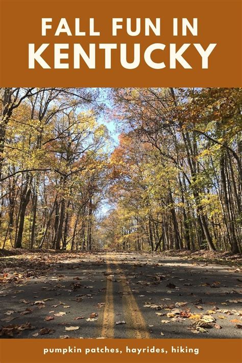 These 6 Road Trips In Kentucky Will Lead You To Places You Ll Never