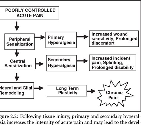 Figure 22 From 2 Pathophysiology Of Acute Pain Semantic Scholar