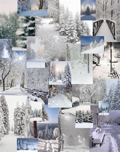 Free Download Snow Collage Winter Wallpaper Winter Snow 828x1052 For
