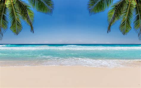 Beach Premium Photos Pictures And Images By Istock