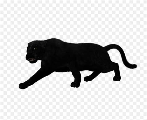 Black Panther Find And Download Best Transparent Png Clipart Images