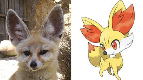 20 Real Pokémon You Can Own As Pets Pethelpful