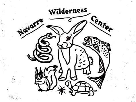 Navarre Wilderness Center Tee Concept | Concept, Navarre, Wilderness