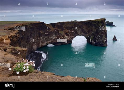 Dyrholaey Natural Arch The Southernmost Point In Iceland Near Vik In