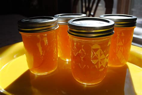 frugalgourmetmom: Honeybell Orange Marmalade