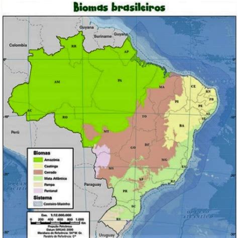 Biomas Resumos De Geografia Da Mil Nio Refor O Escolar