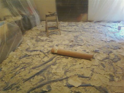 There are popcorn ceilings throughout my entire house that need to be removed. DIY Popcorn Ceiling Removal: How to Easily Remove Popcorn ...
