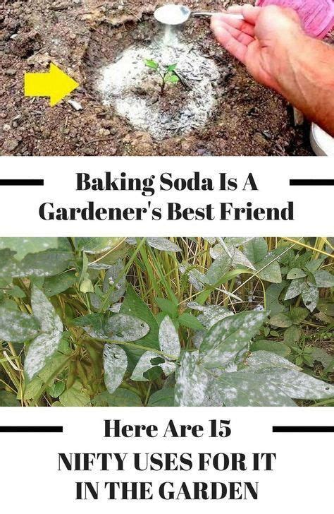 There Are So Many Great Uses For Baking Soda In The Garden These