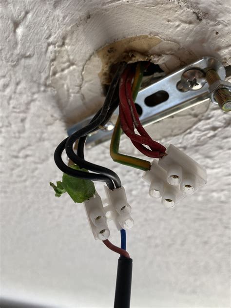 Ceiling Rose Wiring Terminal Block Shelly Lighting