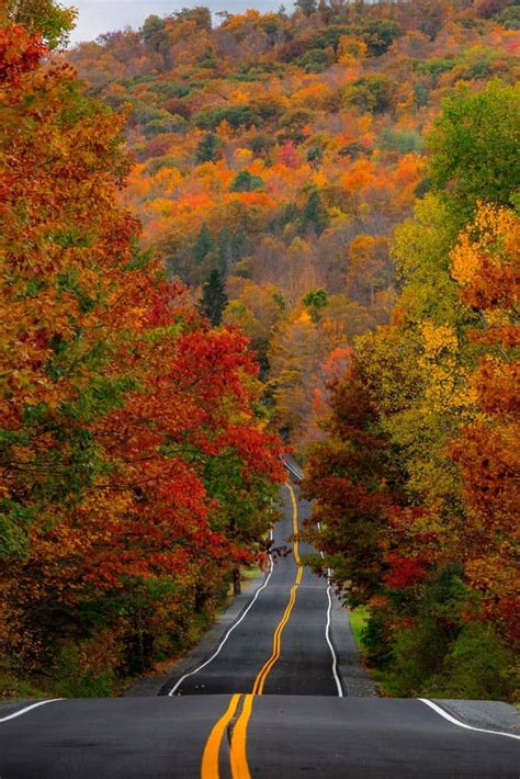Autumn Road In The Catskills Print Uncovering Pa