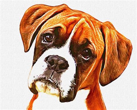 Boxer With That Boxer Expression 8x10 Boxer Dogs Art Boxer Dogs Dog