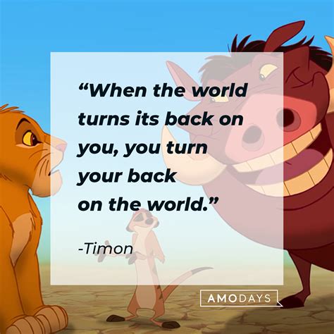 35 Timon Quotes On His Laidback Views Complete With Some Wisecracks