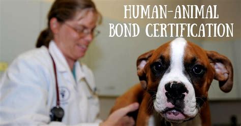 Human Animal Bond Certification I Love Veterinary
