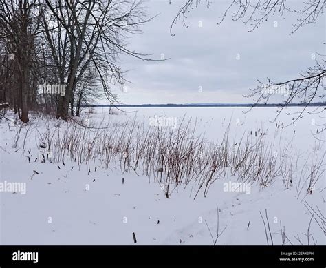 Starkly Beautiful Frozen Canadian Winter Landscape By The Ottawa River