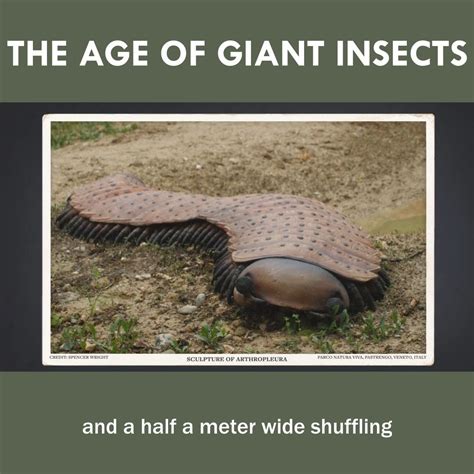 The Age Of Giant Insects 🐛 The Age Of Giant Insects 🐛 By Eons Pbs