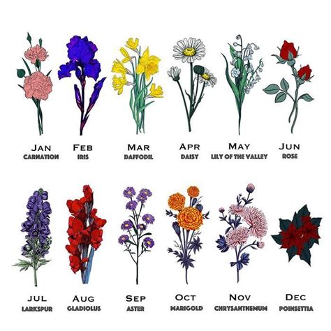 13 March Birth Flower Meaning References Ilulissaticefjordcom