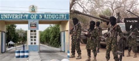 Our Resilience Against Boko Haram Earned Us N2 Billion Unimaid Vc