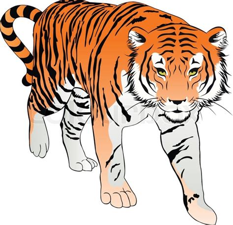 Download High Quality Tiger Clipart Realistic Transparent Png Images