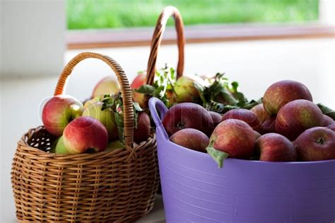 Newly Harvest Apples In Baskets Stock Image Colourbox