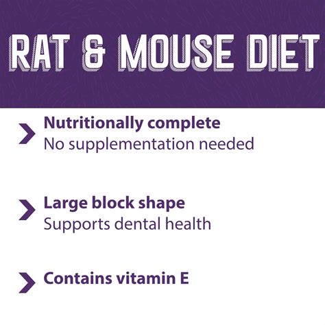 Mazuri Pet Rat And Mouse Food Rodent Pellet Blocks 2 Pound 2 Lb