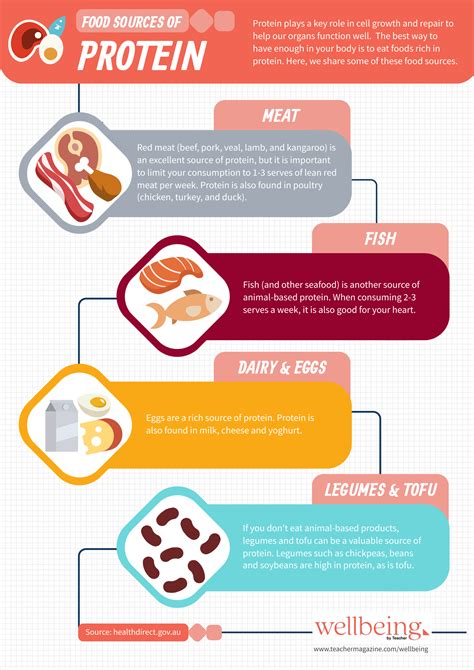 Infographic Nutrients And Your Health Foods Containing Protein