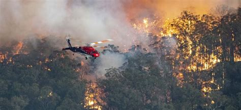 Bushfire In Australia 2020 Photos Hd Images Pictures News Pics