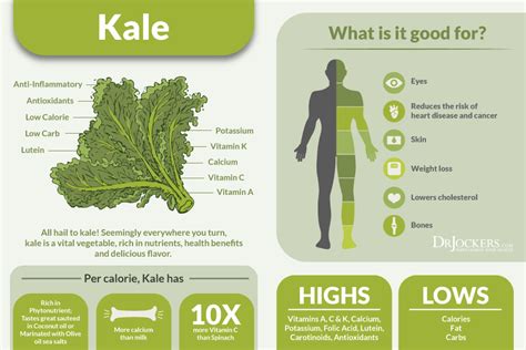6 Incredible Health Benefits Of Kale