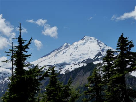 Mount Baker Day Tour Venture To The Top Of The North Cascades