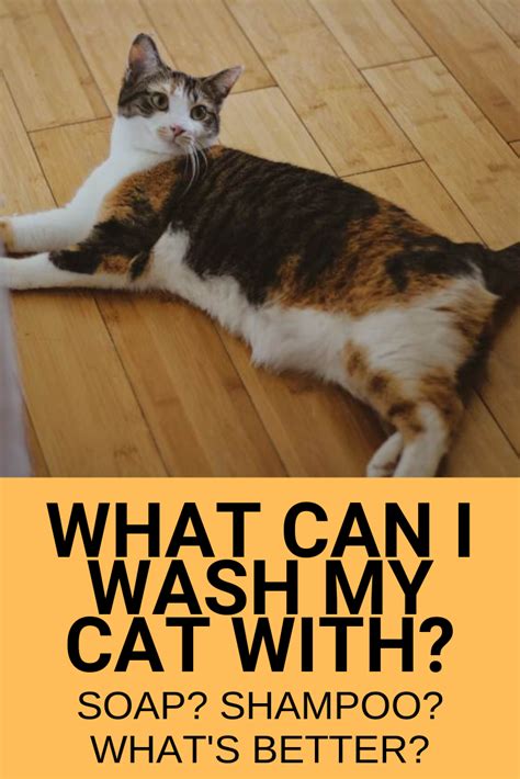 Waterless Shampoo Cat Shampoo Pure Castile Soap Cat Cleaning Pet Parent Pet Health Cool