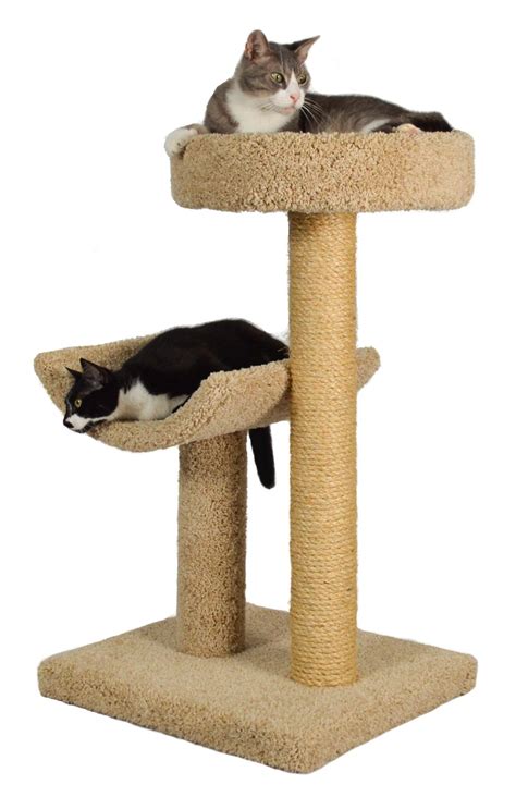 Safety is always important to consider when purchasing things for your cat. Cat Trees For Large Cats - Crazy Cat Lady Magazine