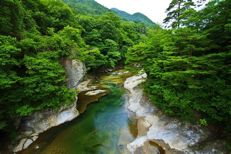 Wallpaper Trees Landscape Mountains Waterfall Green River