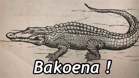 Basotho Clan Names 🇱🇸 Seboko Sa Bakoena 😊 Youtube