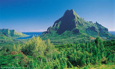 Moorea Island Travel Guide And Vacation Packages