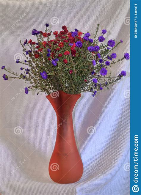 Bouquet Of Flowers Called Asters In A Red Vase Stock Image Image Of