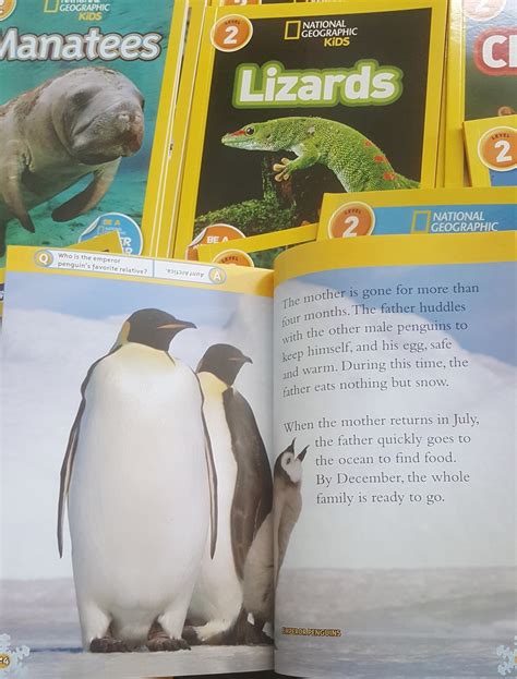 Qoo10 Nat Geo Kids Collectibles And Books