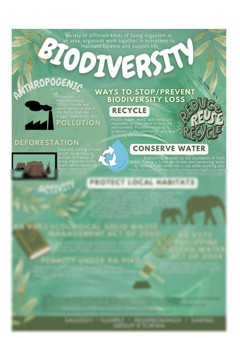 Solution Act Campaign To Stop Biodiversity Loss Infographics Studypool