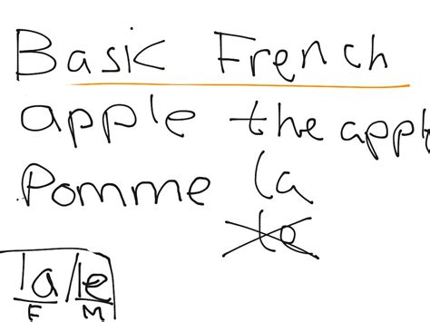 Basic French | French | ShowMe