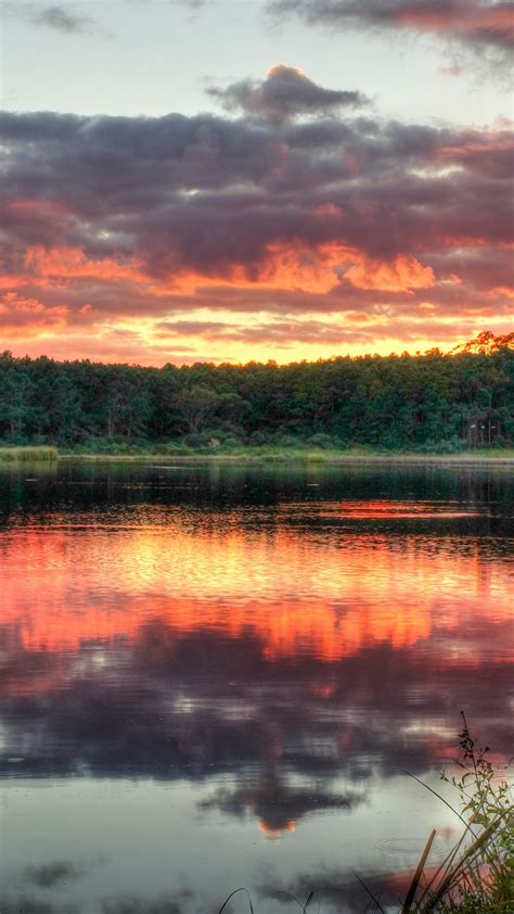 Download Wallpaper 938x1668 Forest Trees Sunset Lake Reflection